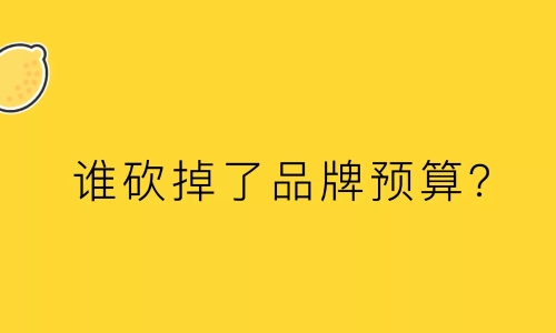 一位甲方的自白：谁砍掉了品牌预算？  ​