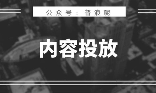 解码：爆款消费品高ROI内容投放指南