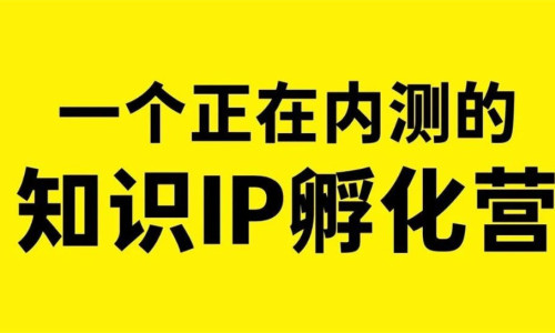 决定试着搞个知识IP孵化营